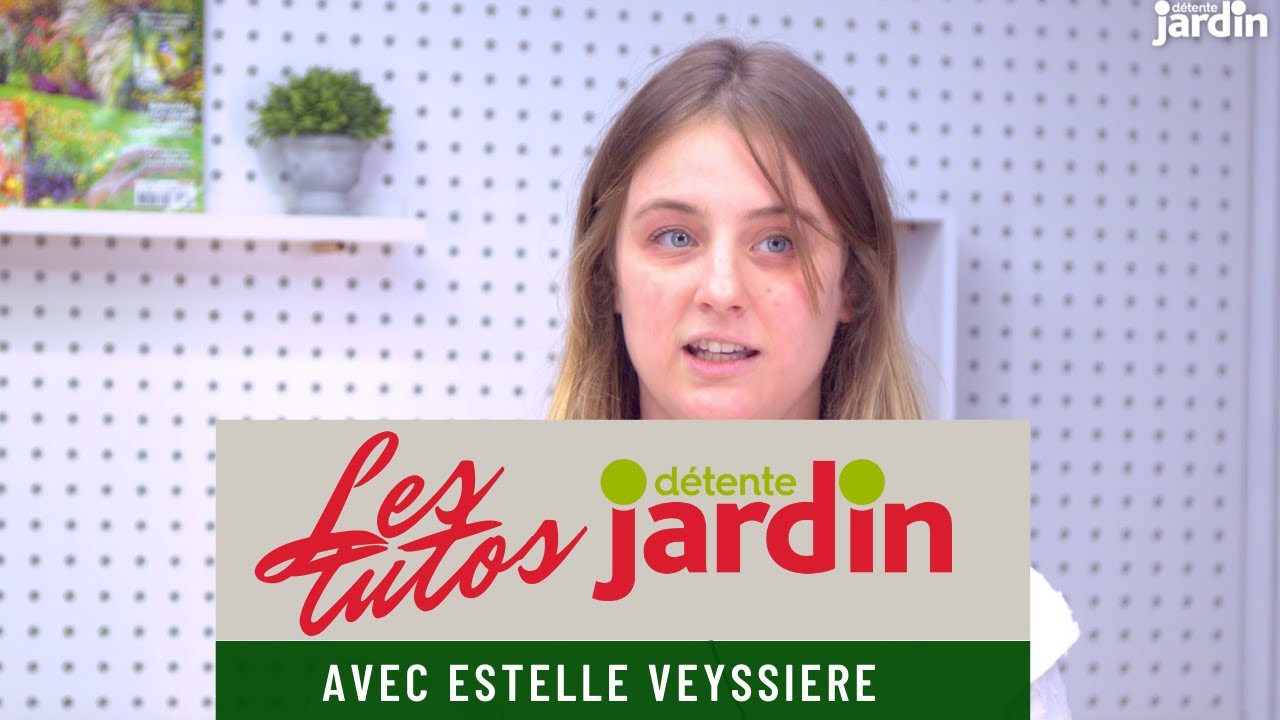 Faire sa boule de graisse pour les oiseaux du jardin