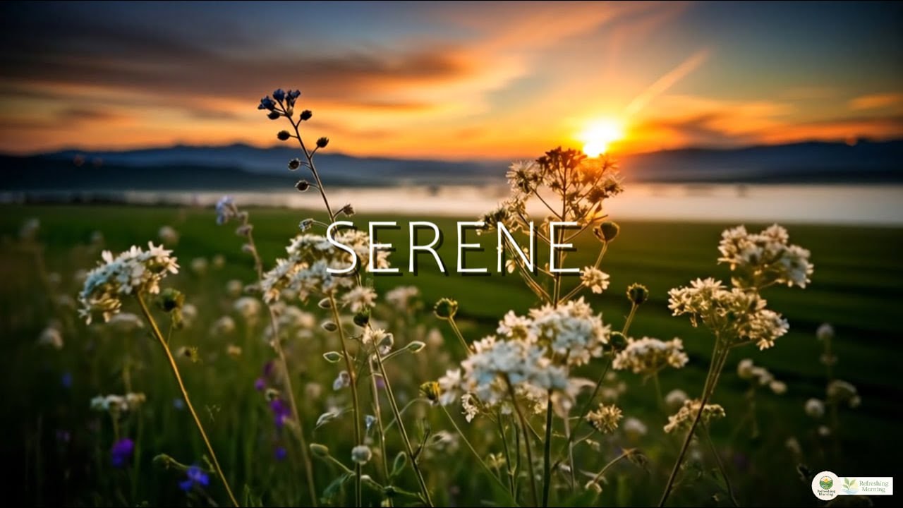 🌼 Serene Sunrise Moments &ndash; Piano Music For Peace & Focus | Refreshing Morning