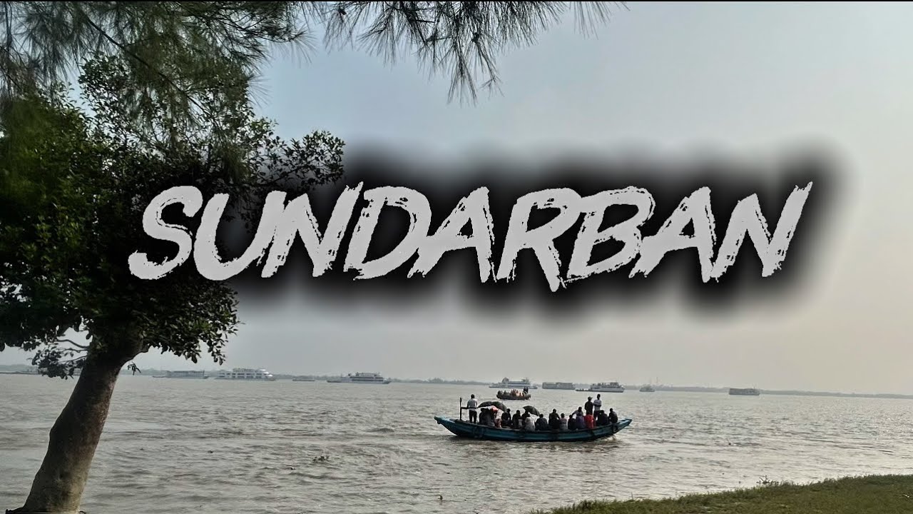 A video of Sundarban part-1 #TheTravelMan10