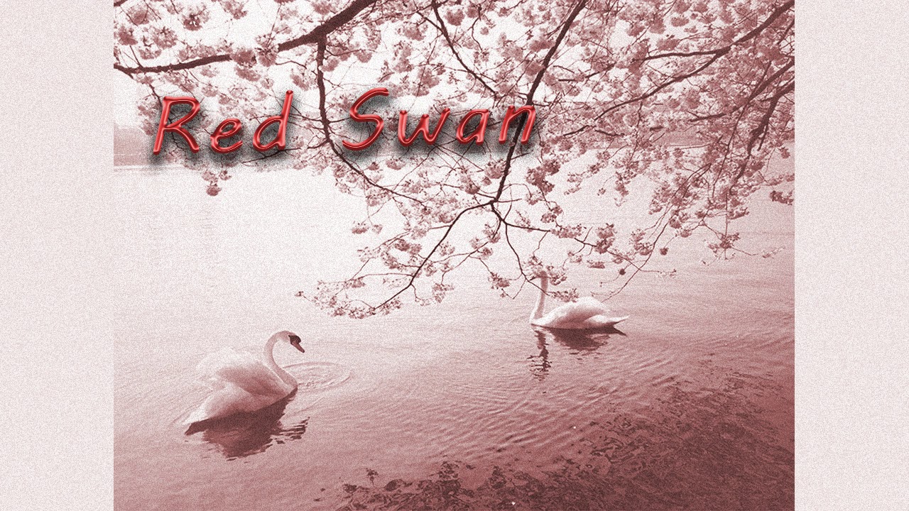 Red Swan