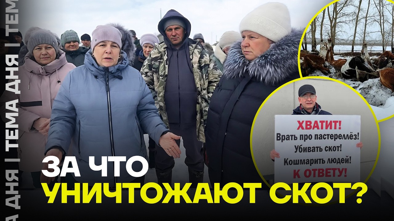 Власти сошли с ума! В Сибири уничтожают скот и народ