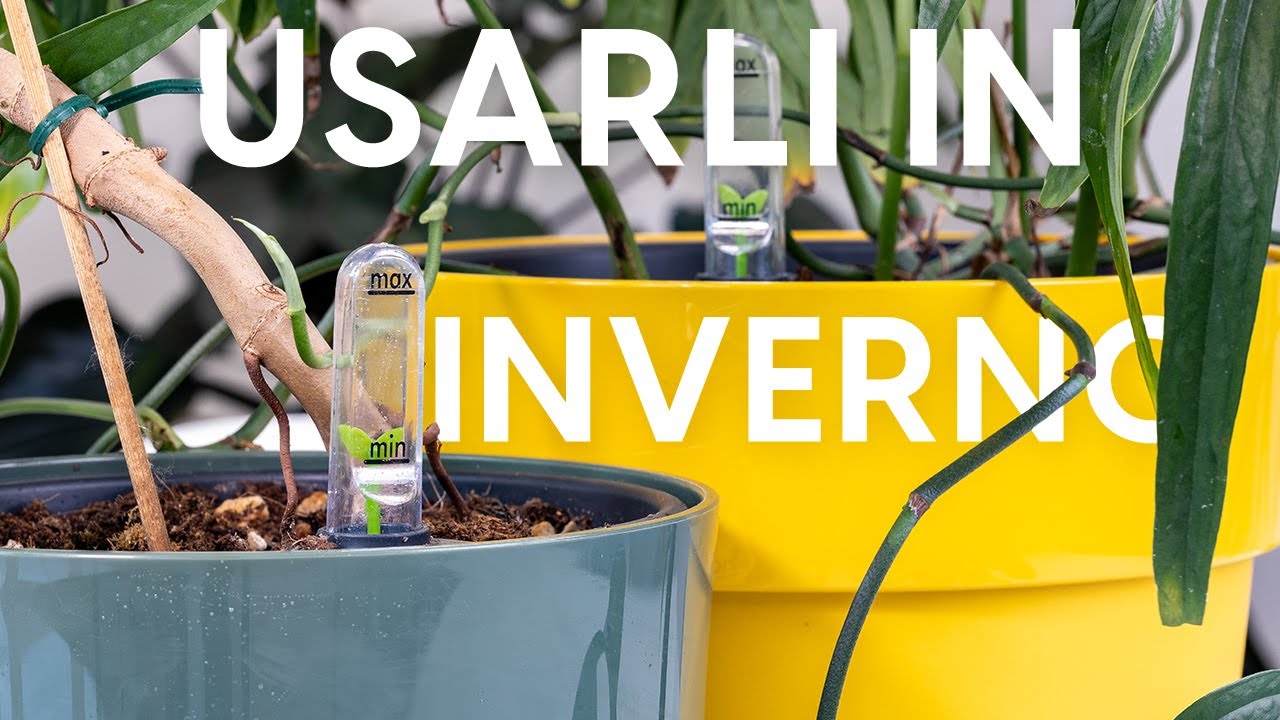 Vasi autoirriganti: ecco come utilizzarli in inverno!