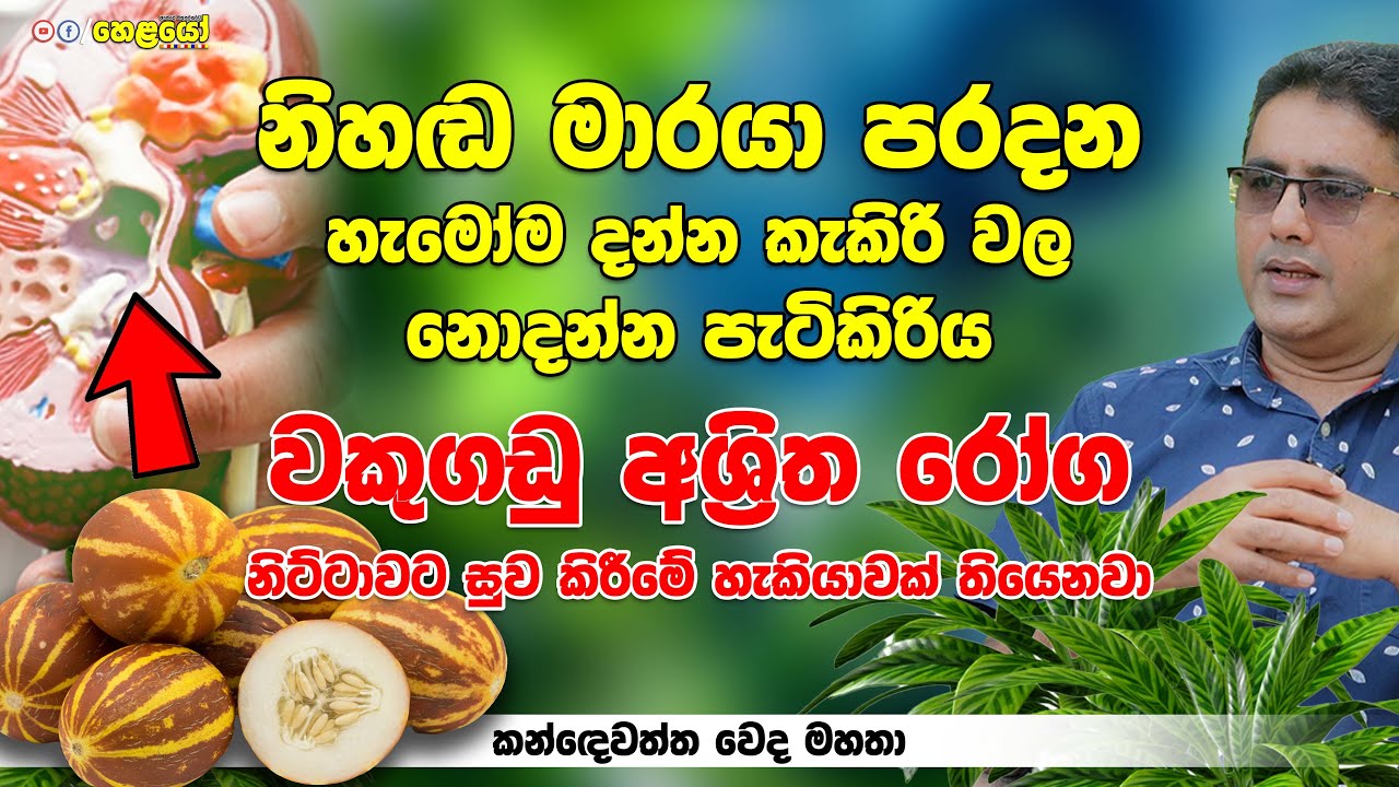 නිහඬ මා රයා පරදන හැමෝම දන්න කැකිරි වල නොදන්න පැටිකිරිය