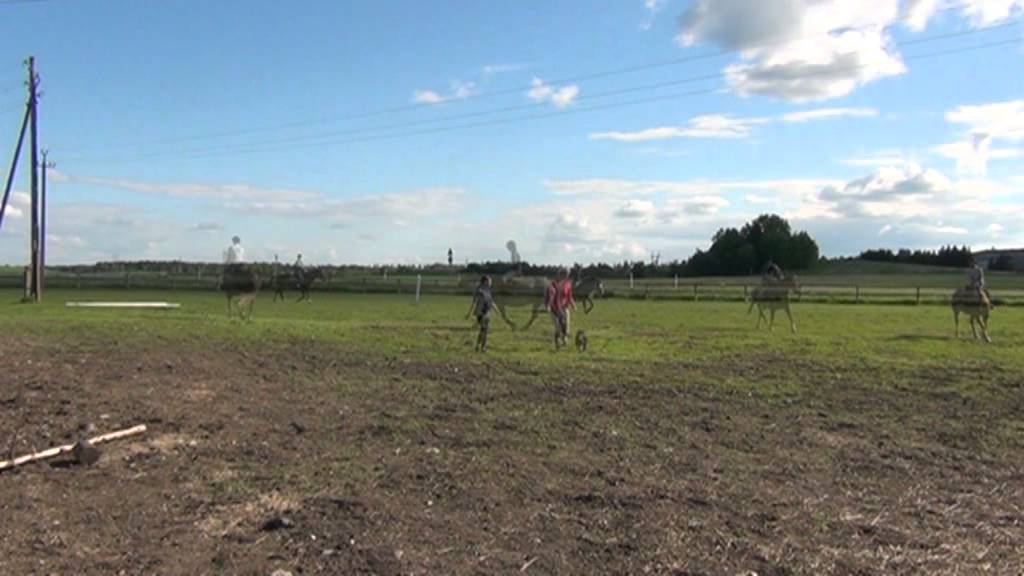 J&auml;neda kodu muusikavideo - Juuni 2012 HD video