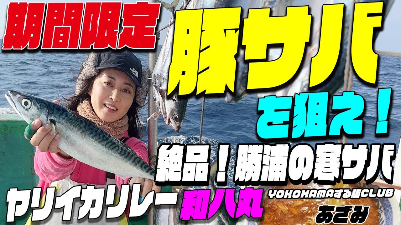 ブタサバを狙え！期間限定！外房の勝浦の寒サバ＆ヤリイカリレーIN和八丸2号船～脂乗りのりのマサバ狙い！　マサバの船上干しも圧巻！　YOKOHAMAする麺CLUBは勝浦タンタン麺あざみさん