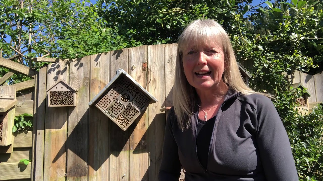Part 1: What happens in a Bee 'Hotel'?