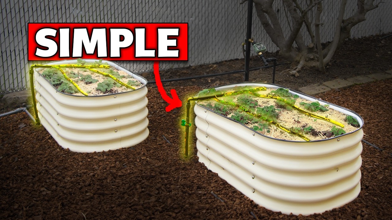 This is a Simple Drip Irrigation System for Raised Beds (Beginner's Guide)