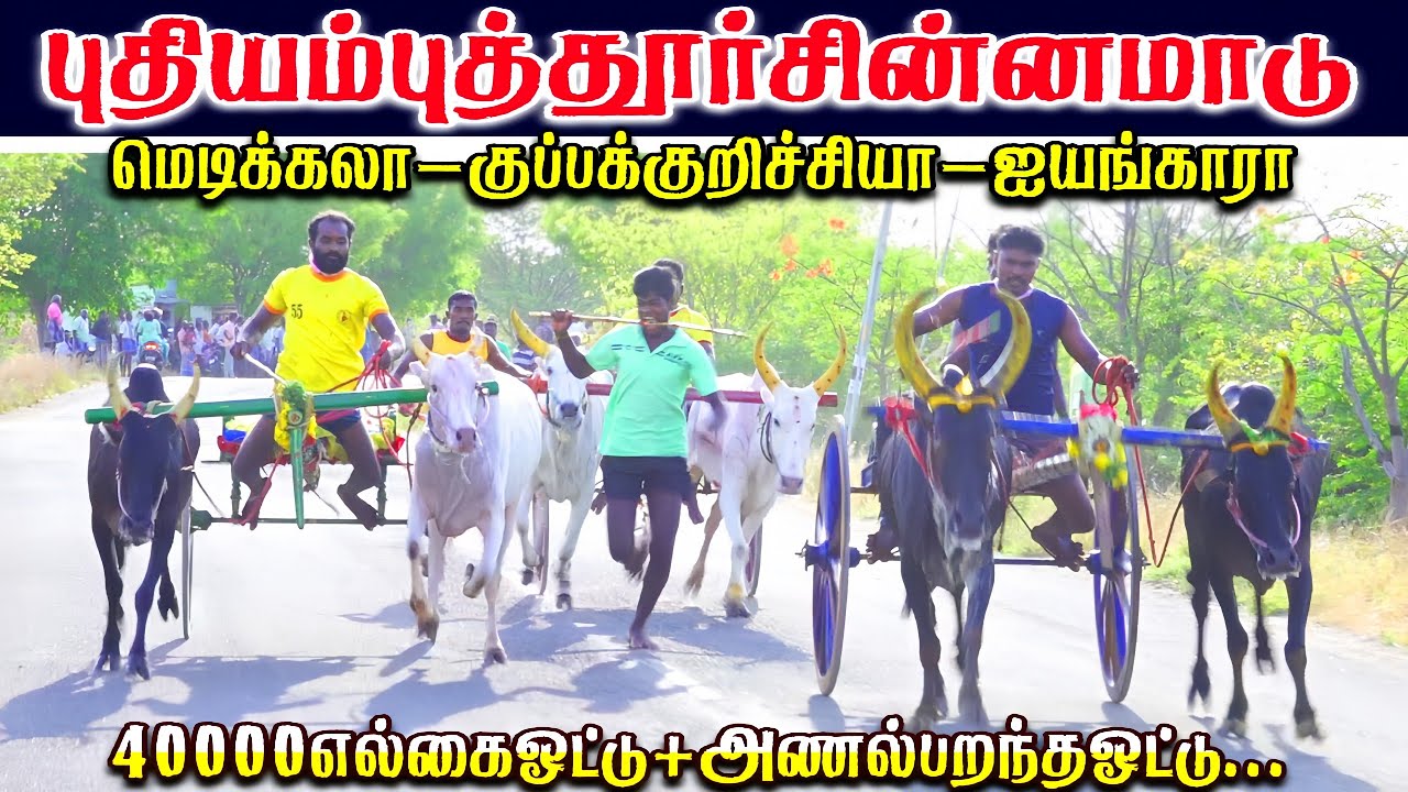 2கடுமையான போராட்டம் தூத்துக்குடி மாவட்டம் புதியம்புத்தூர் பந்தயம்