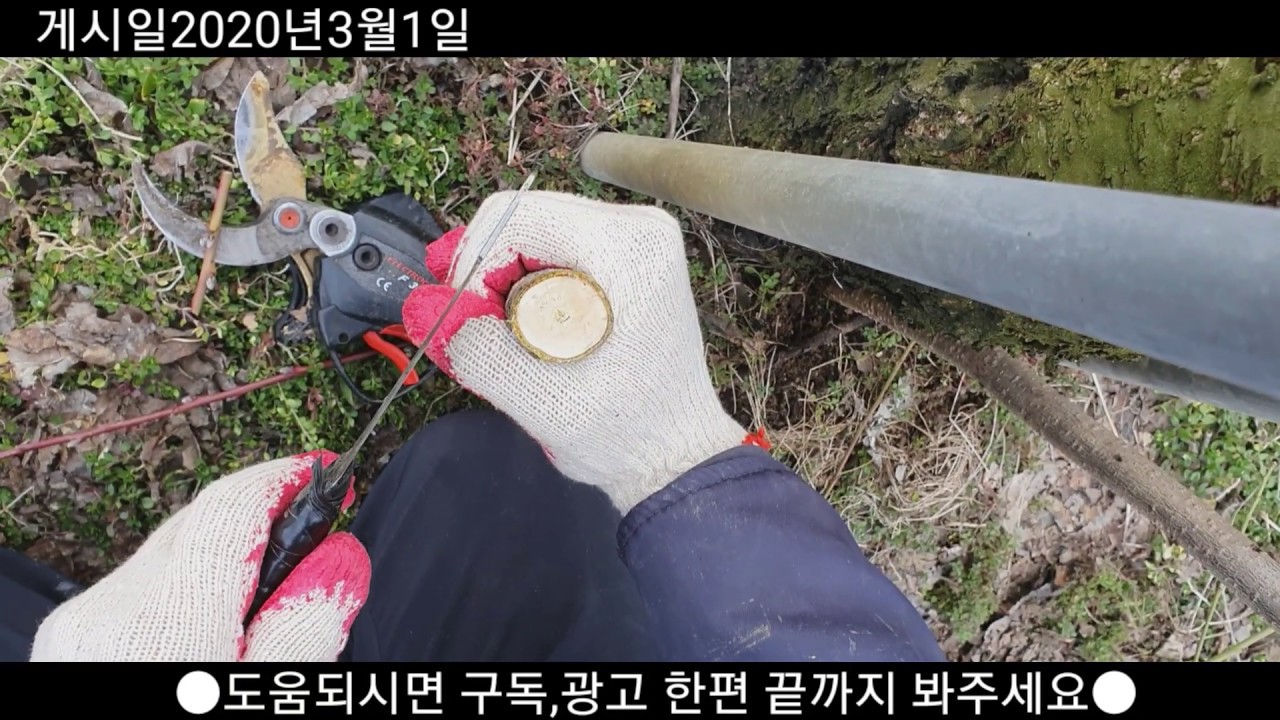 굵은대목 ㅡ 가늘은 접수, 쉽게쉽게 붙여야죠.