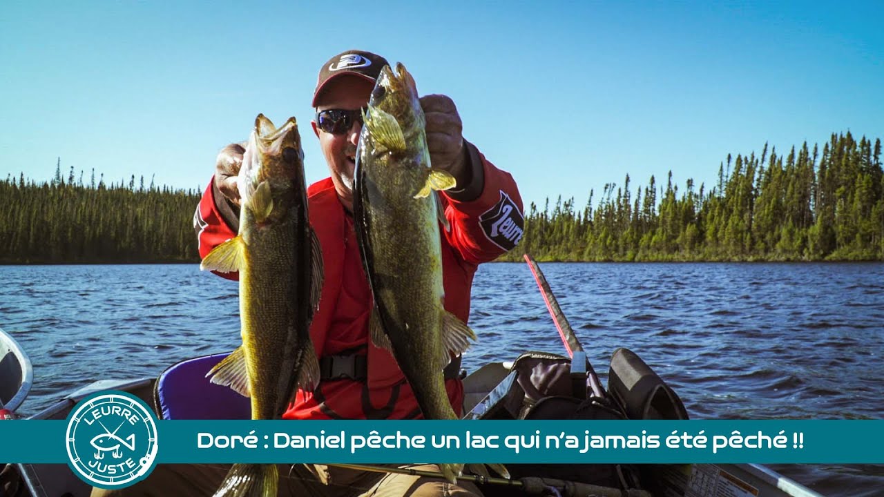 Doré : Daniel pêche un lac qui n’a jamais été pêché !!