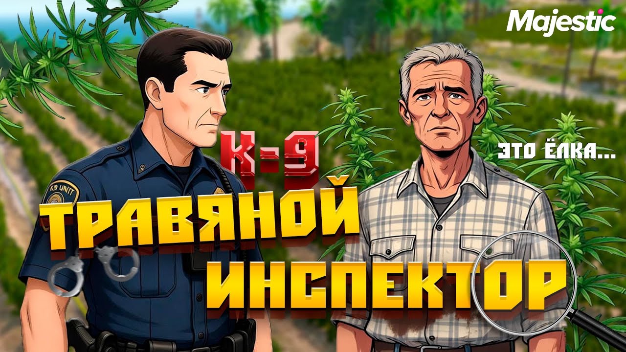 В ПОИСКАХ ТОГО САМОГО ЗА ИНСПЕКТОРА K9 | Majestic RP