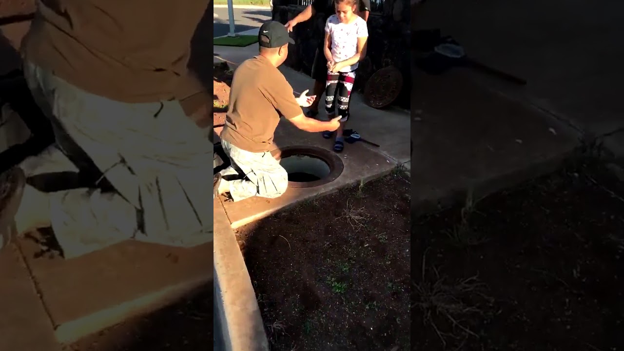 Child Lowered Into Manhole Following Hawaii Missile False Alarm