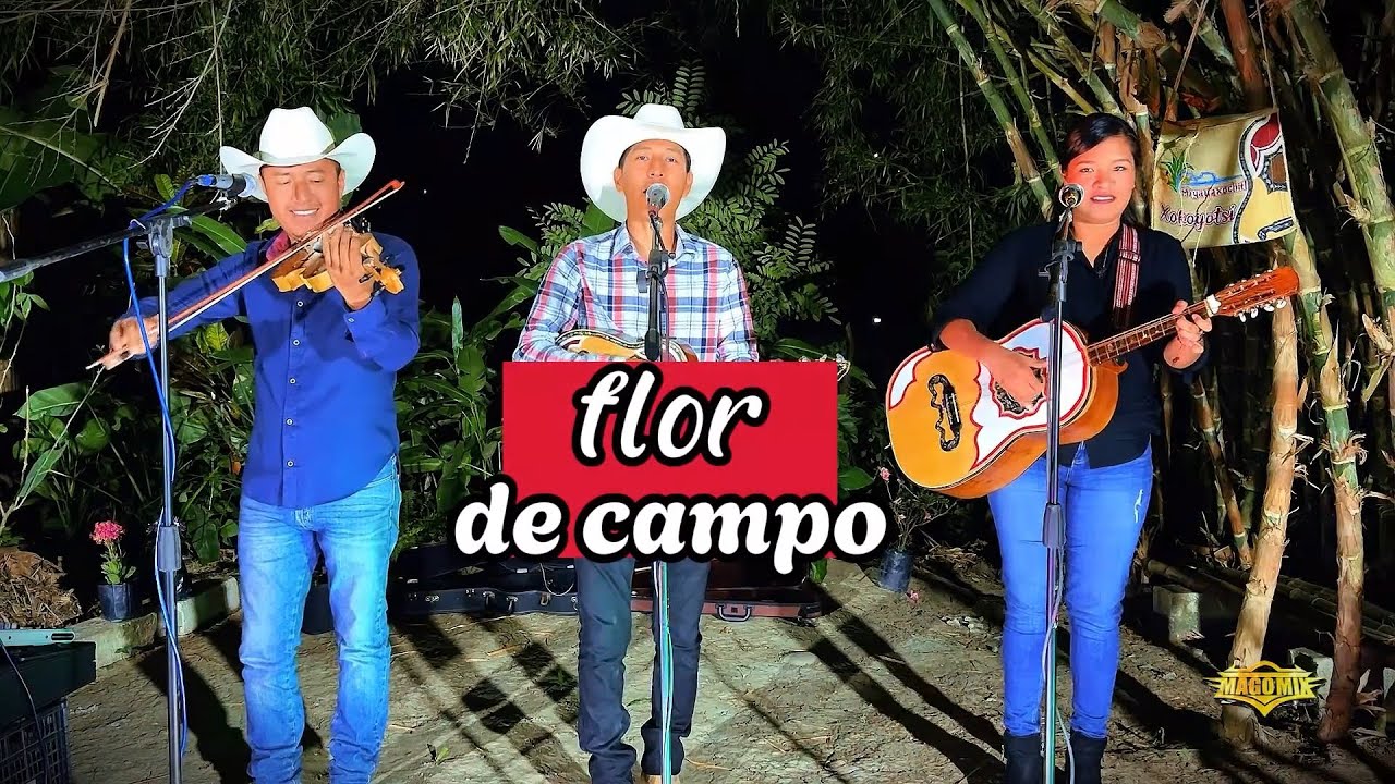 FLOR DE CAMPO - TRIO MIYAUAXOCHITL (SESIÓN EN VIVO)