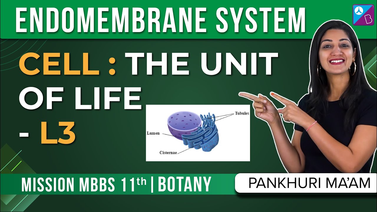 Endomembrane System -  Cell The Unit of Life Concepts Explained (L3) | NEET 2024 Biology Exam