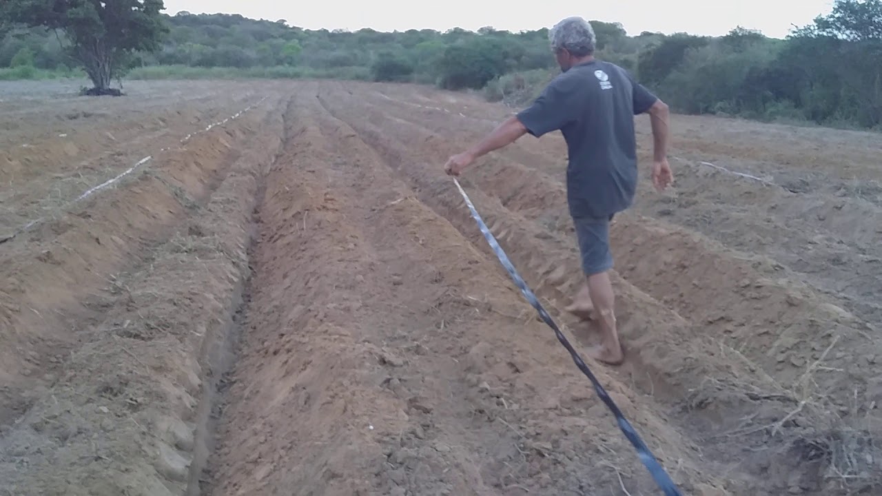 como instalar fita de gotejamento