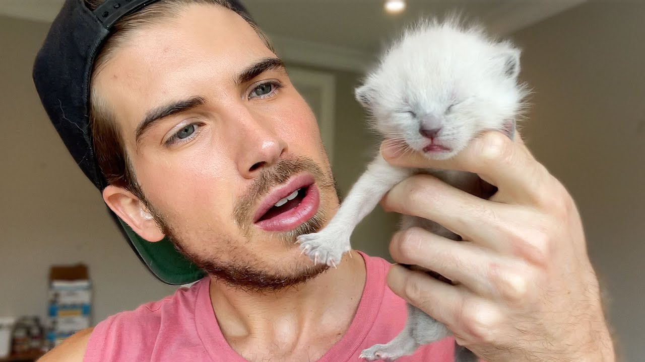 RARE Gender Reveal Of My New Rescue Kittens!