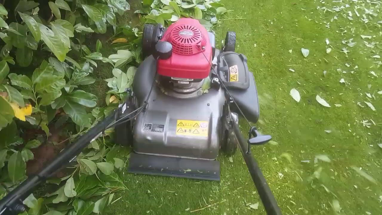 How I get rid of garden waste  NO BAGS NEEDED