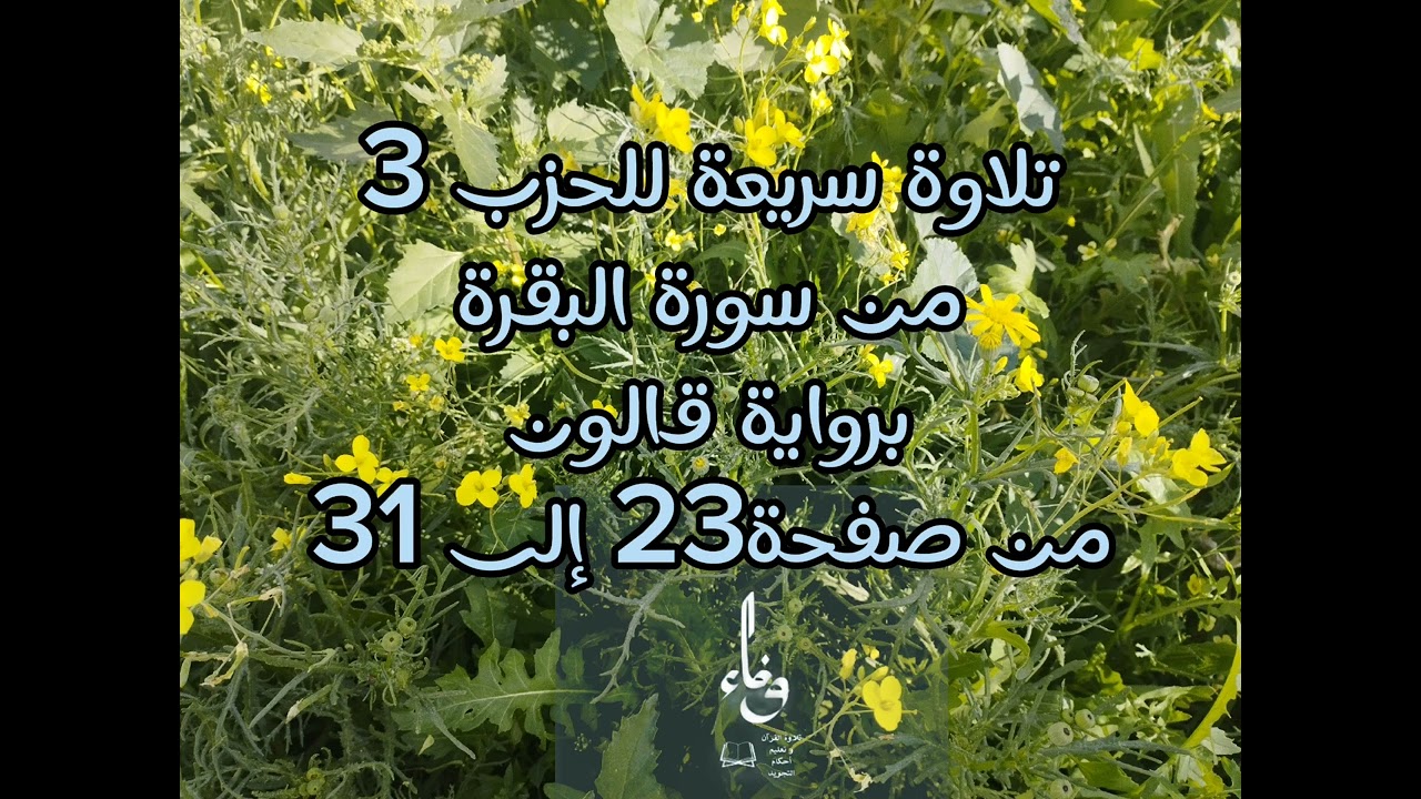 مراجعة الحزب 3 من سورة البقرة برواية قالون