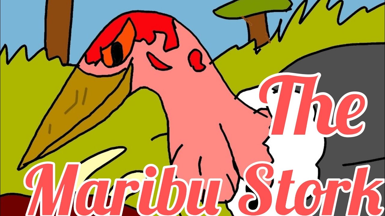 The maribu stork BIRD FACT 🦆 video 🦆📸