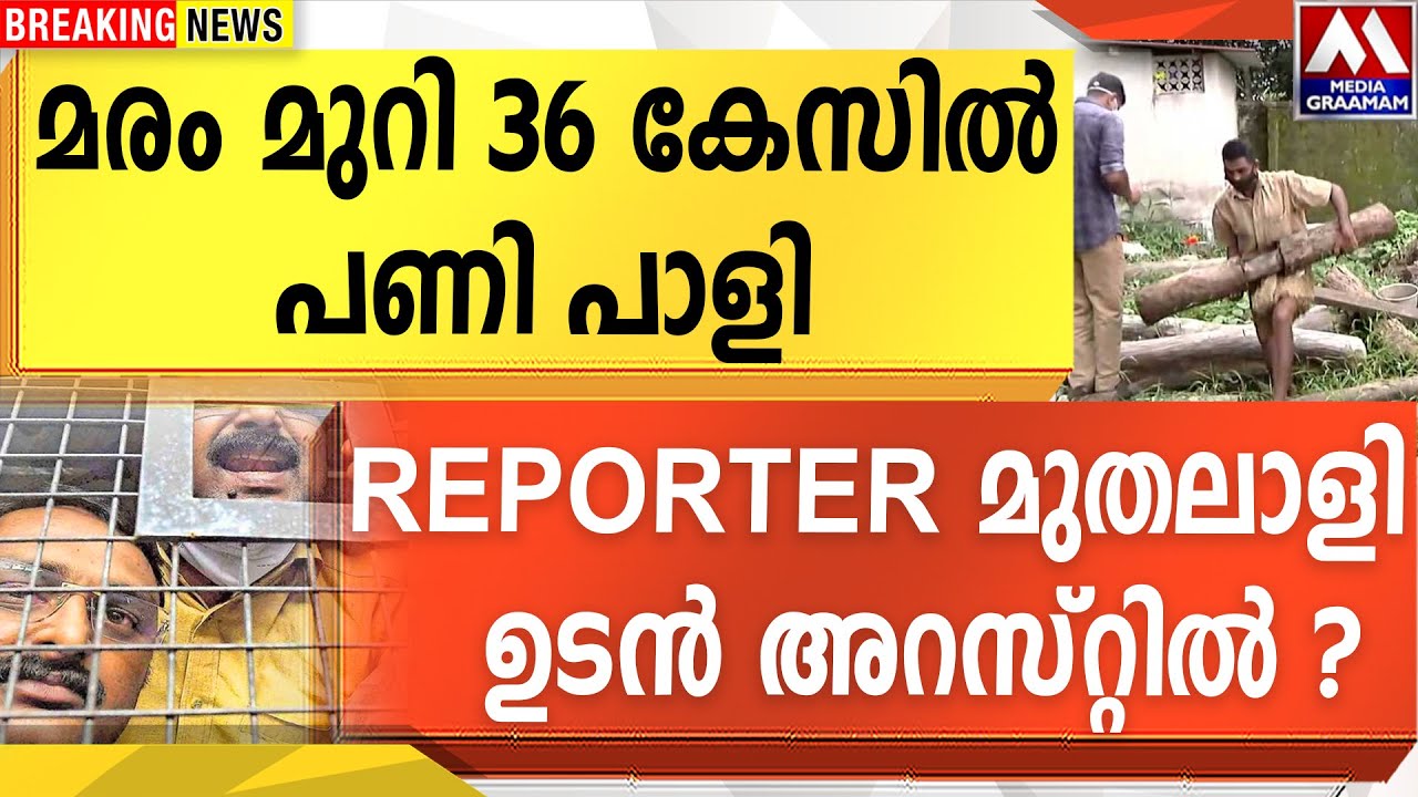 വമ്പൻ ട്വിസ്റ്റ്    മരം മുറി 36 കേസിൽ  പണി പാളി  | REPORTER മുതലാളി     ഉടൻ അറസ്റ