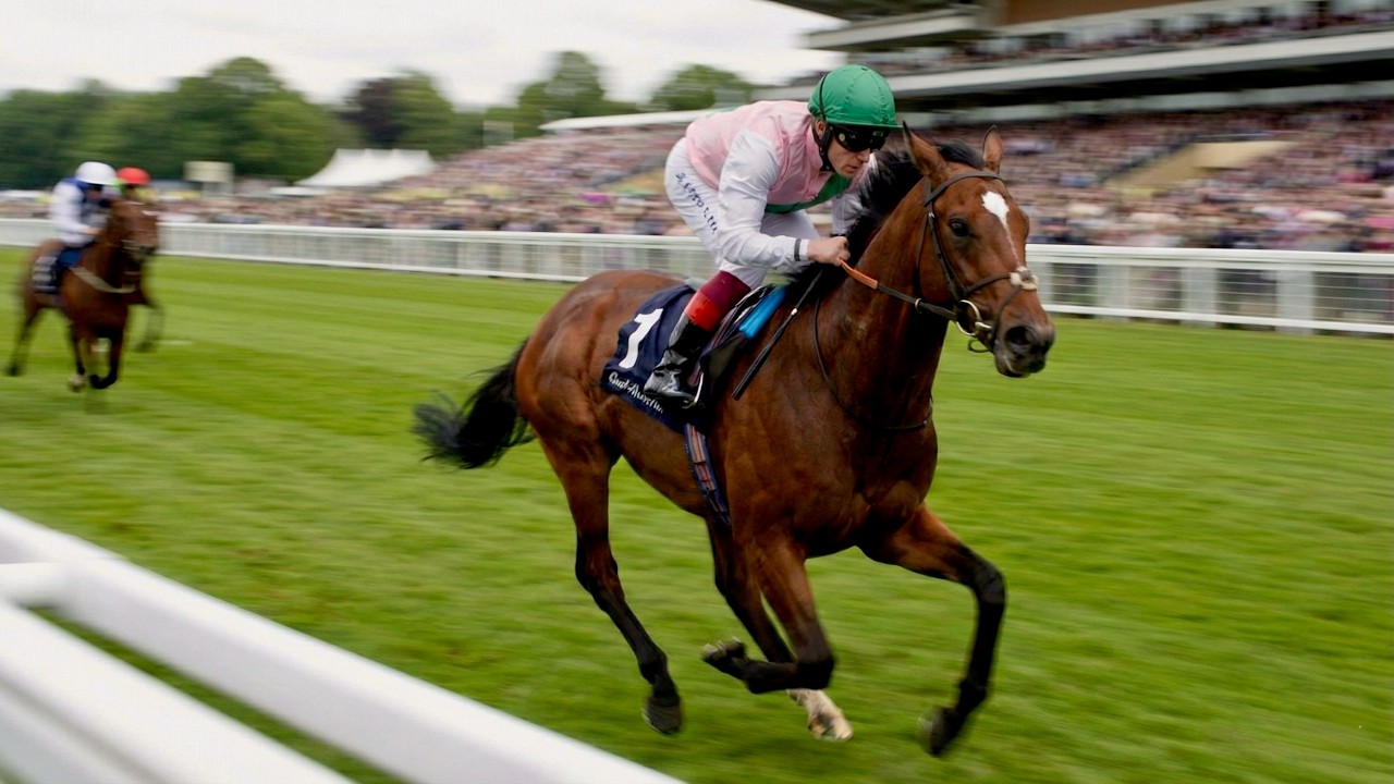 The Horse Who Accelerated Like a Sports Car