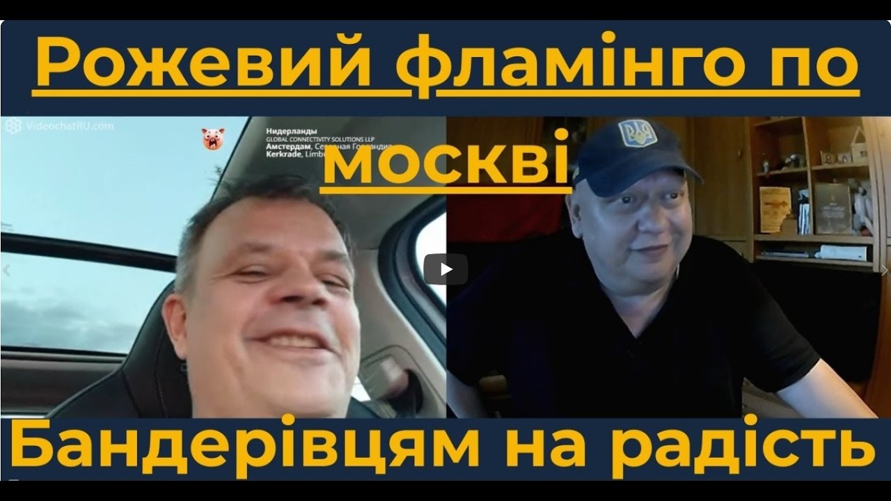 Рожевий фламінго на москві
