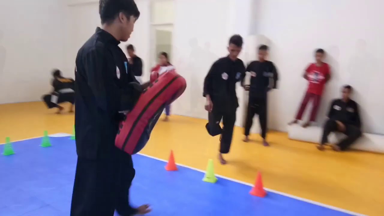 Latihan PPS-SMI komwil halut || pencak silat satria muda indonesia || 2020