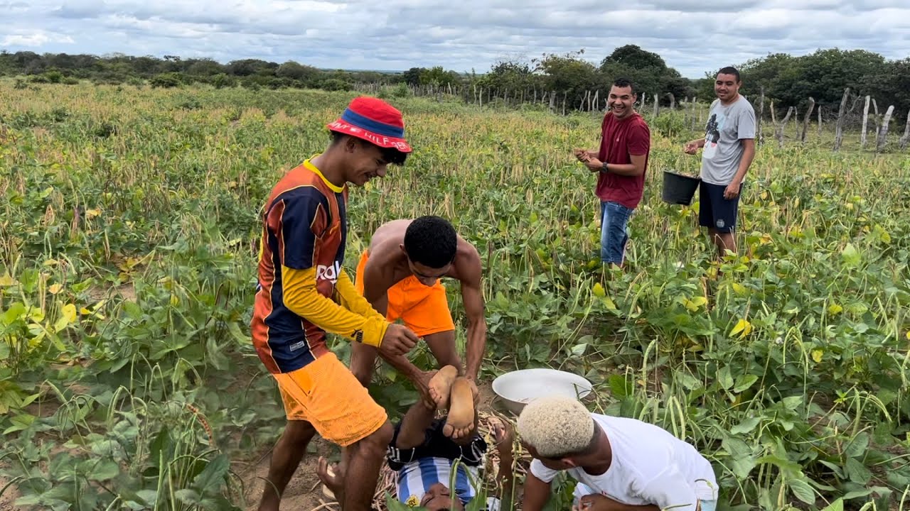 BRUTINHO SE IRRITA NA PLANTA&Ccedil;&Atilde;O E COLOCA O ANAO DE CABE&Ccedil;A PRA BAIXO