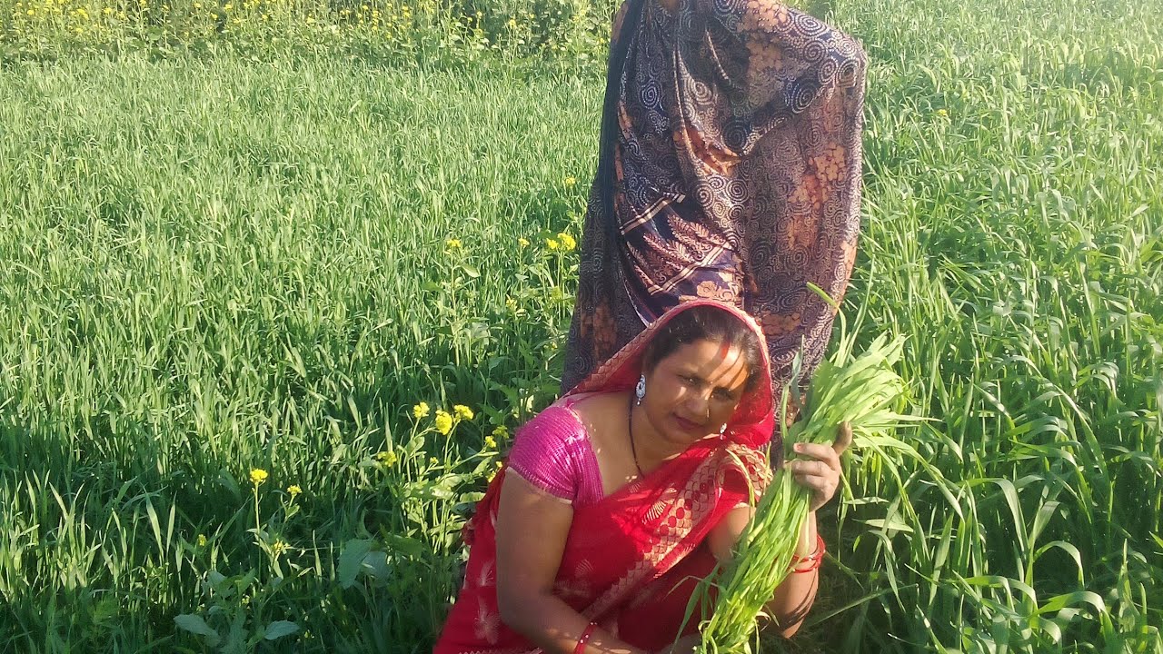 Sakuntla dehati lokgit  लाइव है!