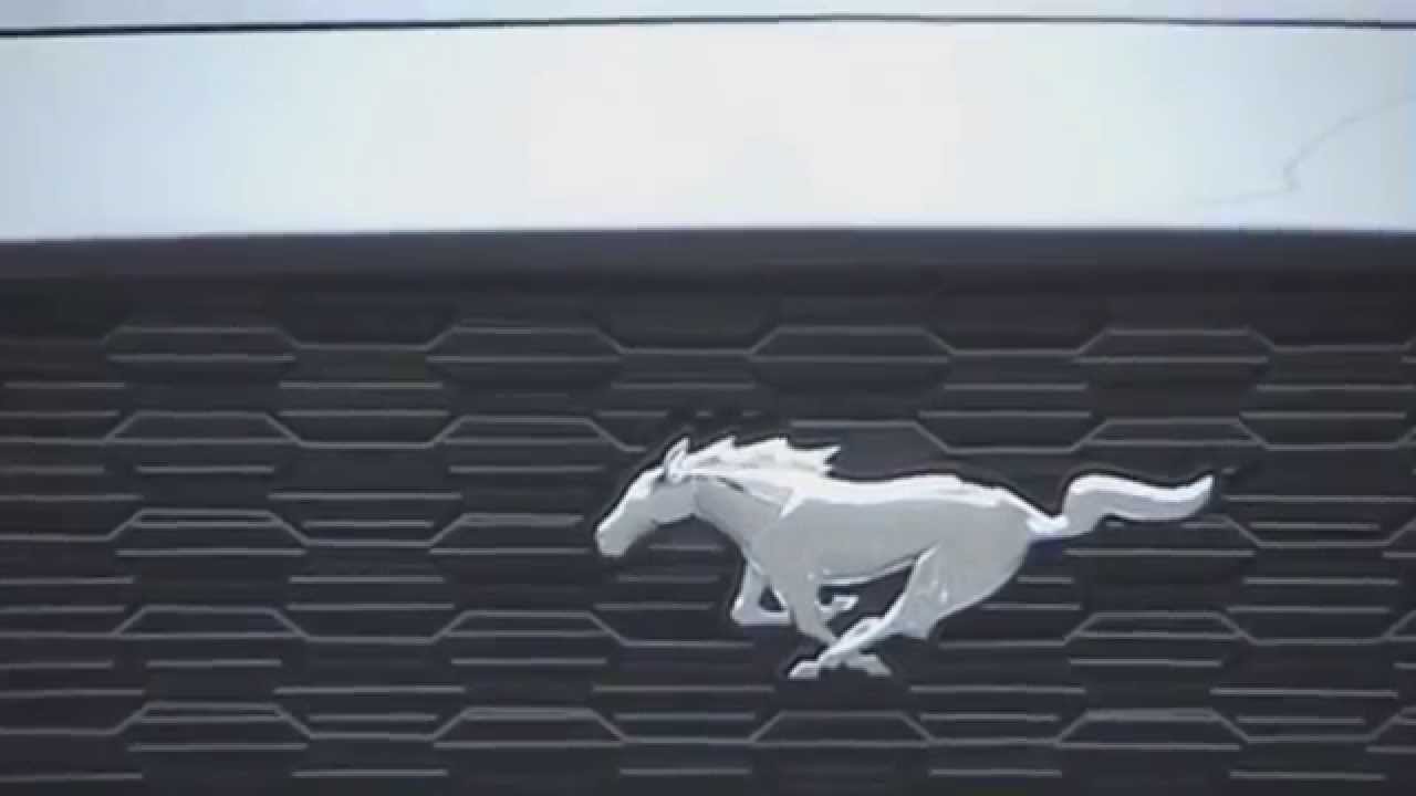 Mustang Show Promo