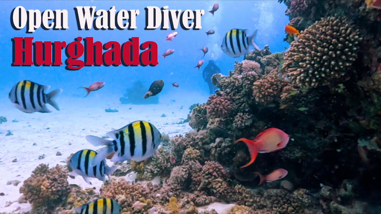 #58 Egypt: Diving in Hurghada, step by step Open Water Diver Course in a breathtaking Red Sea!