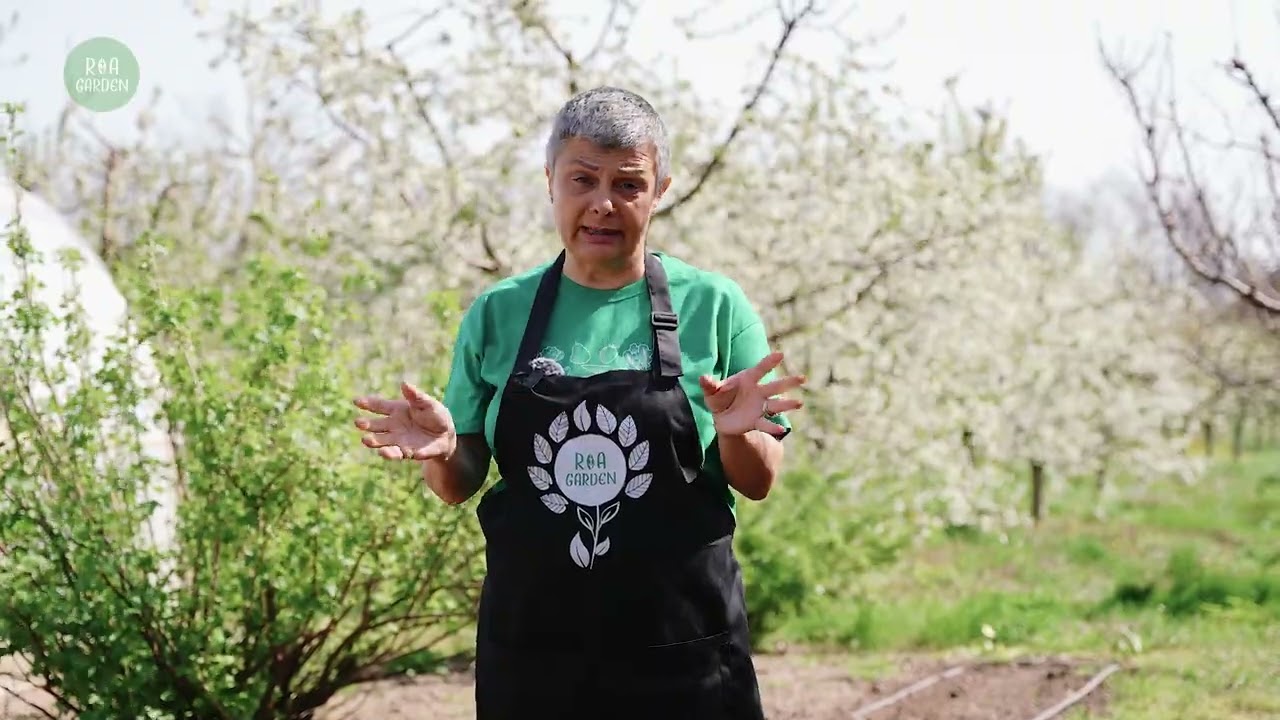 Flori pe buget, care înfloresc toată vara 🌞 | Crăițe & Cârciumărese 🌼