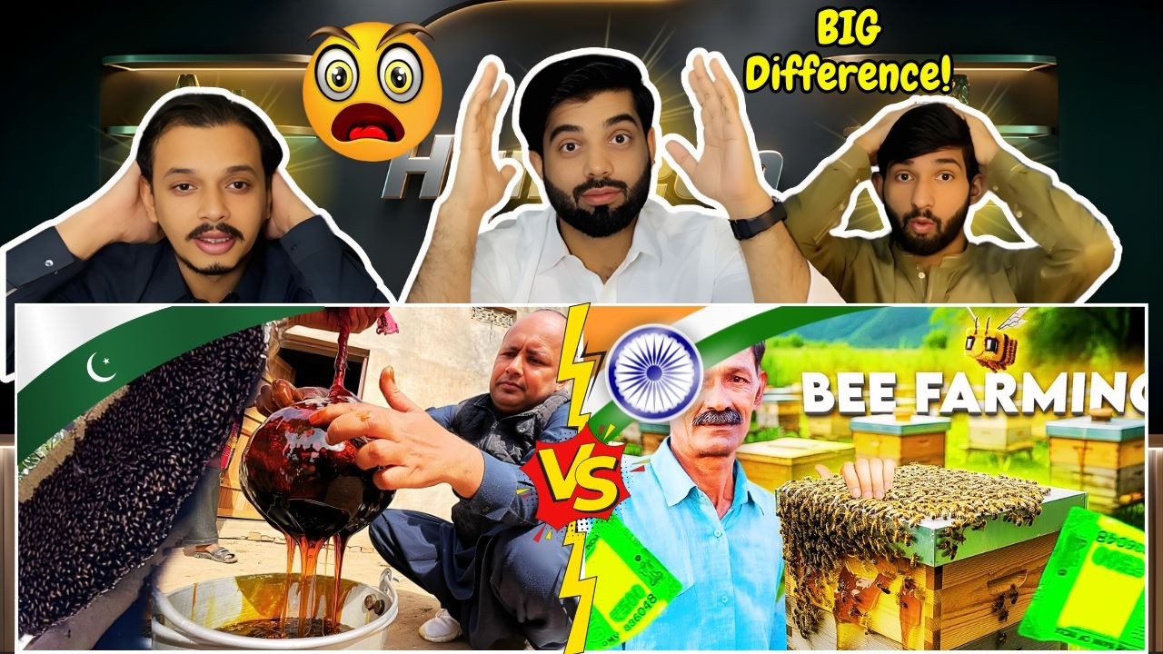 Reaction On Bee Farming India vs Pakistan Comparison | मधुमक्खी पालन | Pakistani Reaction 🔥