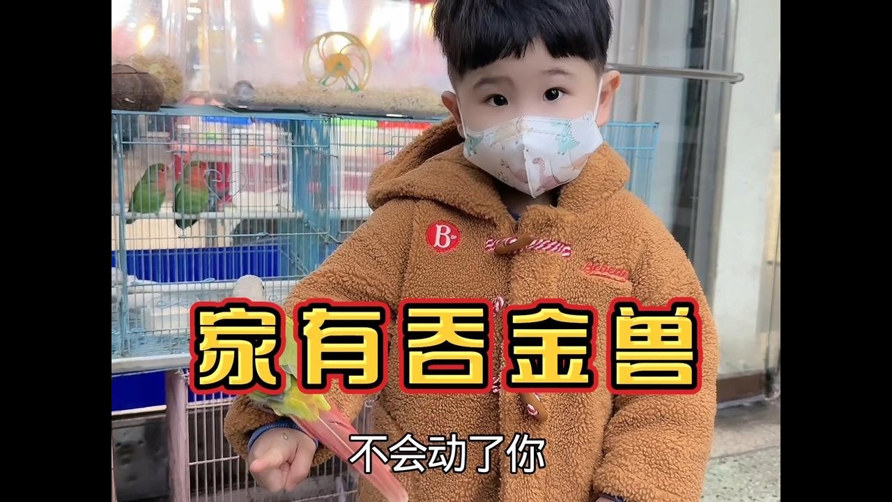 小小胖收到姑姑买的新年礼物，在家哭着喊着要金鱼，老公被迫营业