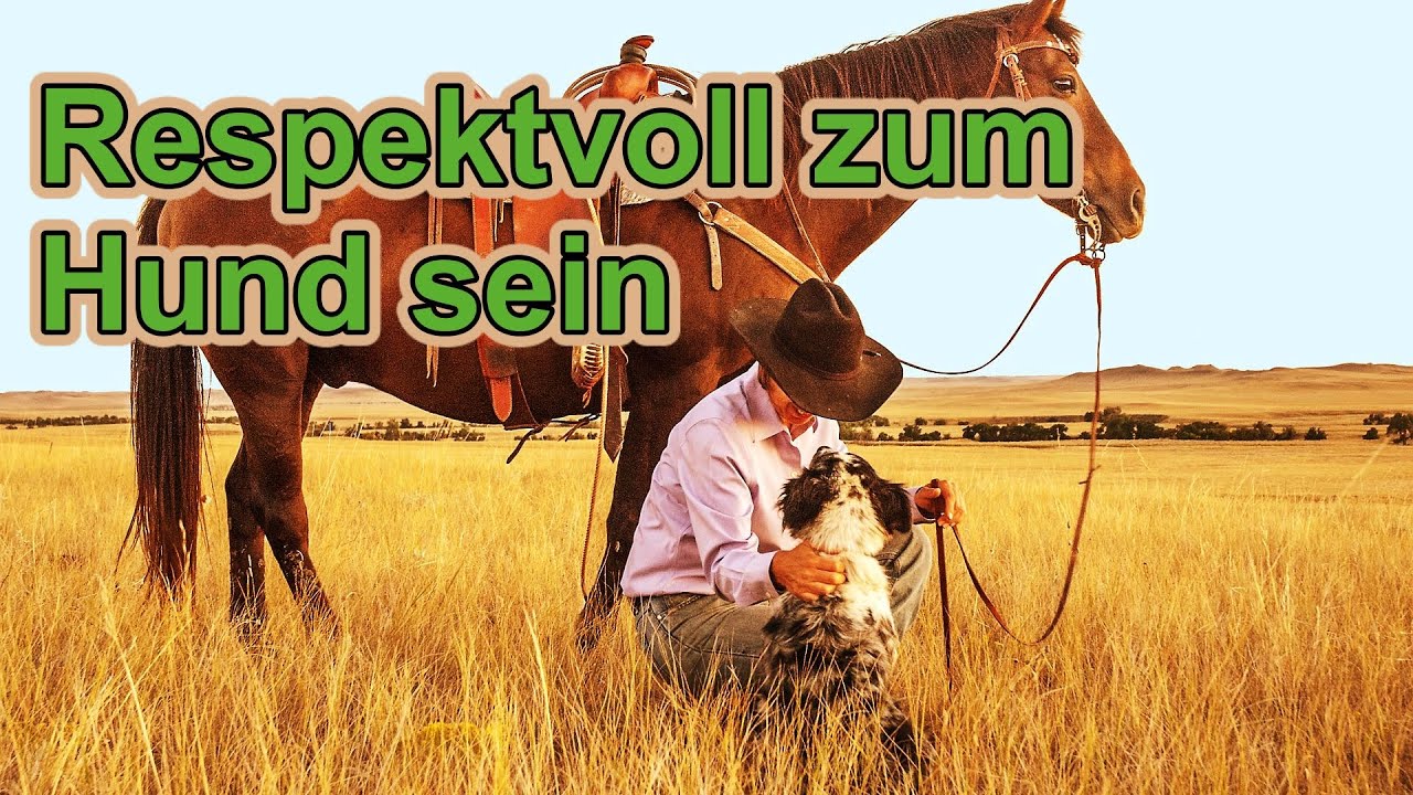 Respektiere deinen Hund / Hundeerziehung / Hundetraining / Hundeausbildung / Nature Trails