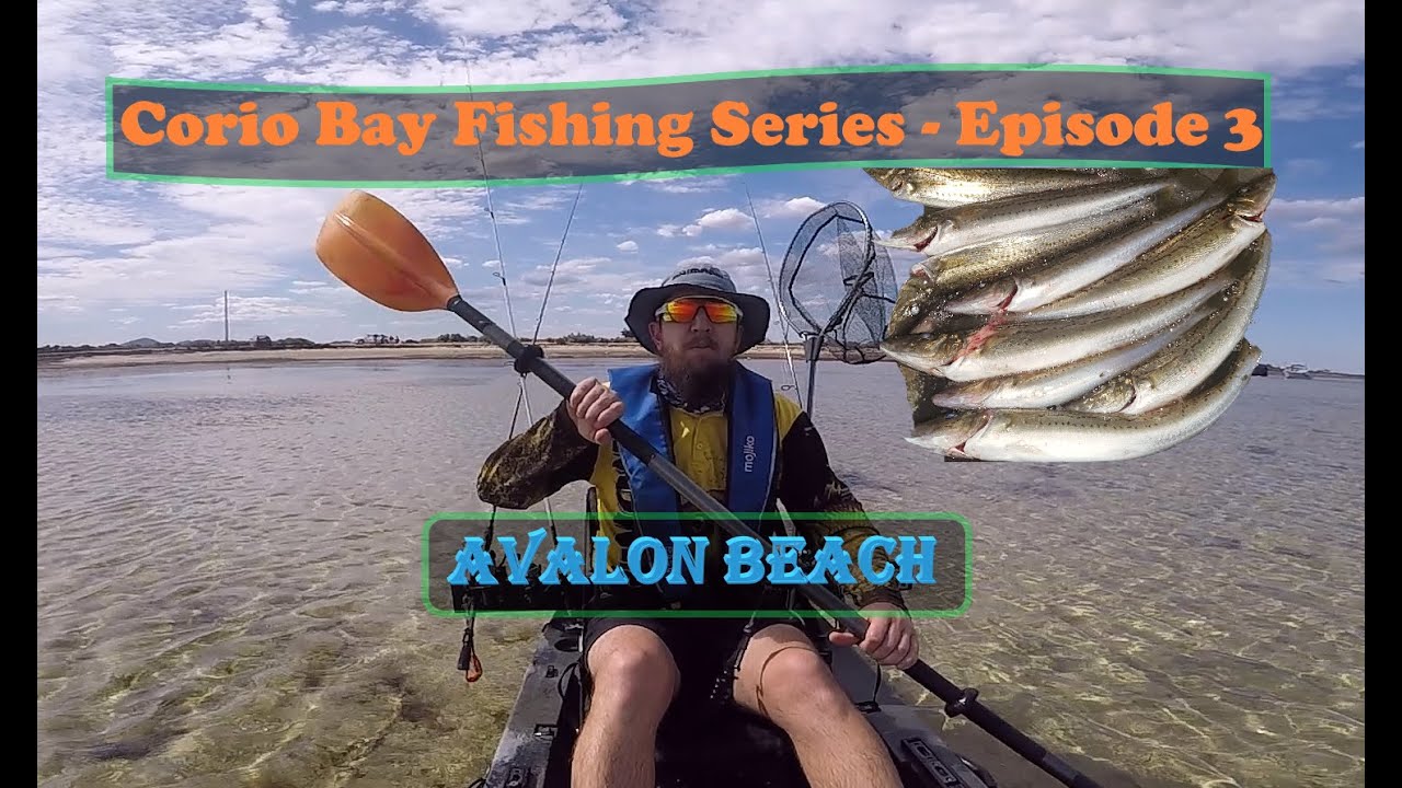Corio Bay Fishing Episode 3 Avalon Beach
