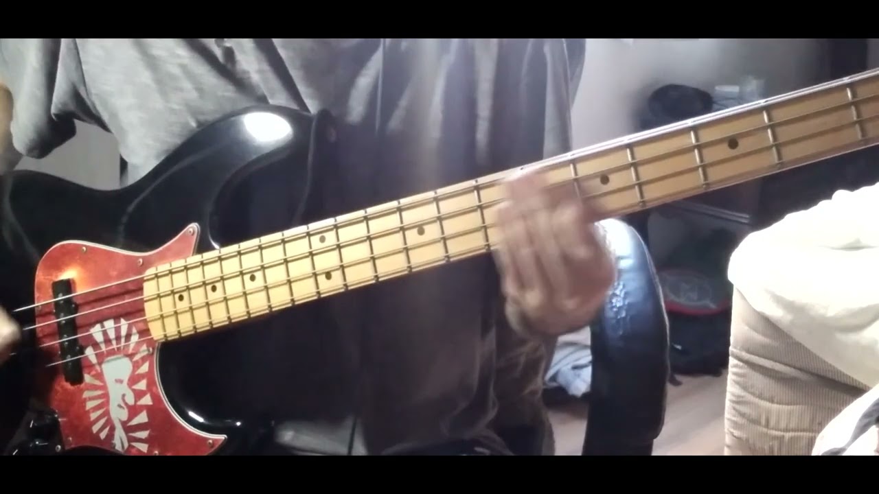 she past away - mizantrop (BASS cover)