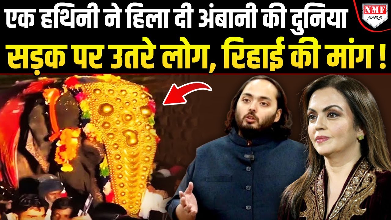 Madhuri हथिनी ने कैसे हिला दी Ambani की दुनिया, साधु संत भी विरोध में। Vantara