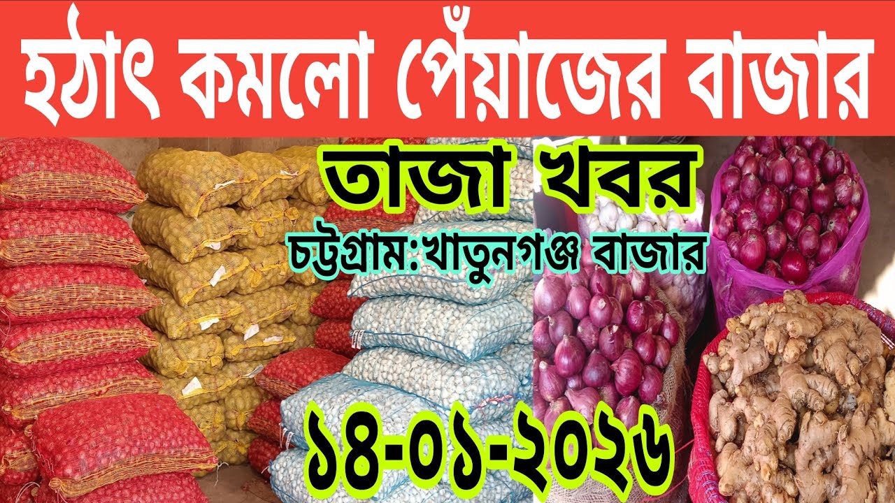 ১৪-০১-২০২৬,কমে যাচ্ছে পেঁয়াজের বাজার। চট্টগ্রাম খাতুনগঞ্জ থেকে পেঁয়াজের আপডেট বাজার দর। #onion. 
