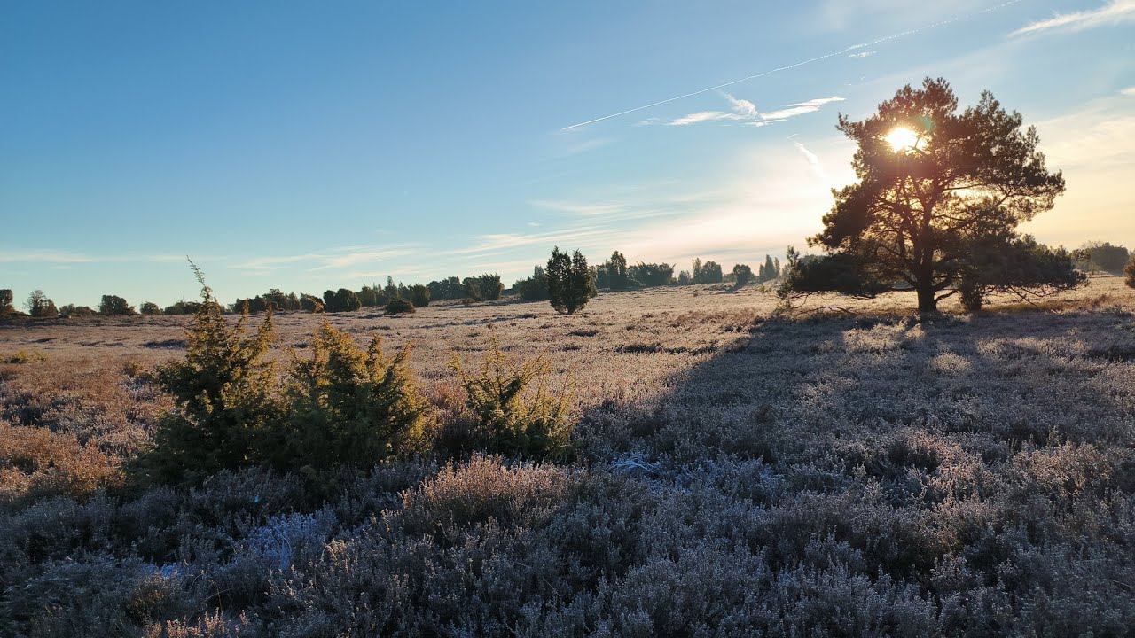 🇩🇪 Undeloh - Wilsede - Rundwanderung (Lüneburger Heide)