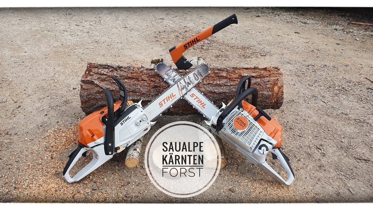 Stihl 261C neu und Käferholz-Fällung Teil 1