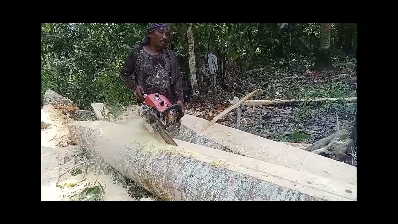 Antipolo Tree into Fishing boat Keel/Kasko sa bangka(3×16×20) ROMAity 070