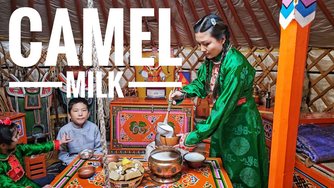 HOW TO DRINK CAMELS MILK| Mongolian Nomads Winter drink- Khoormog