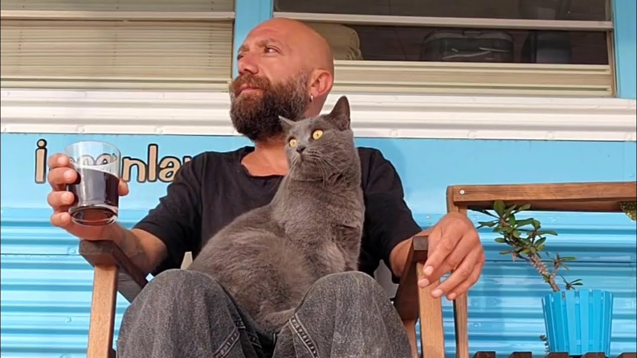Bir Tutam Kedi Sevgisi
