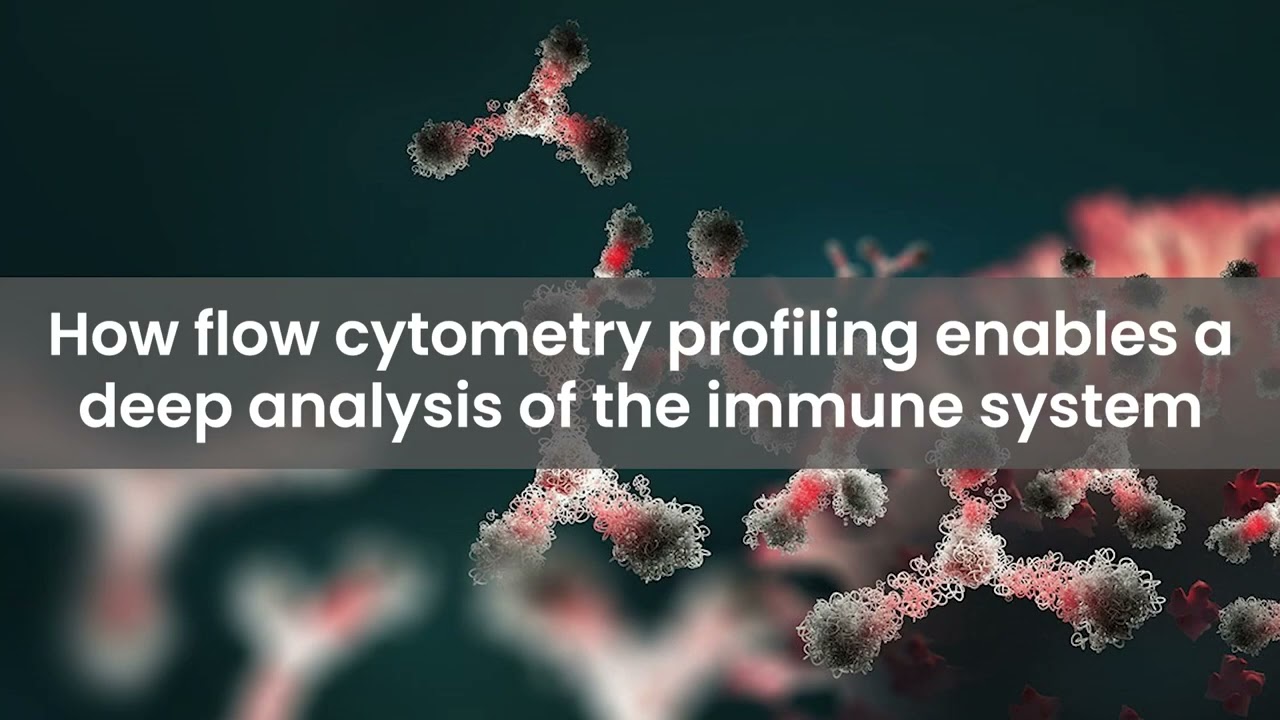 Comprehensive flow cytometry profiling of the immune system in COVID-19 convalescent individuals