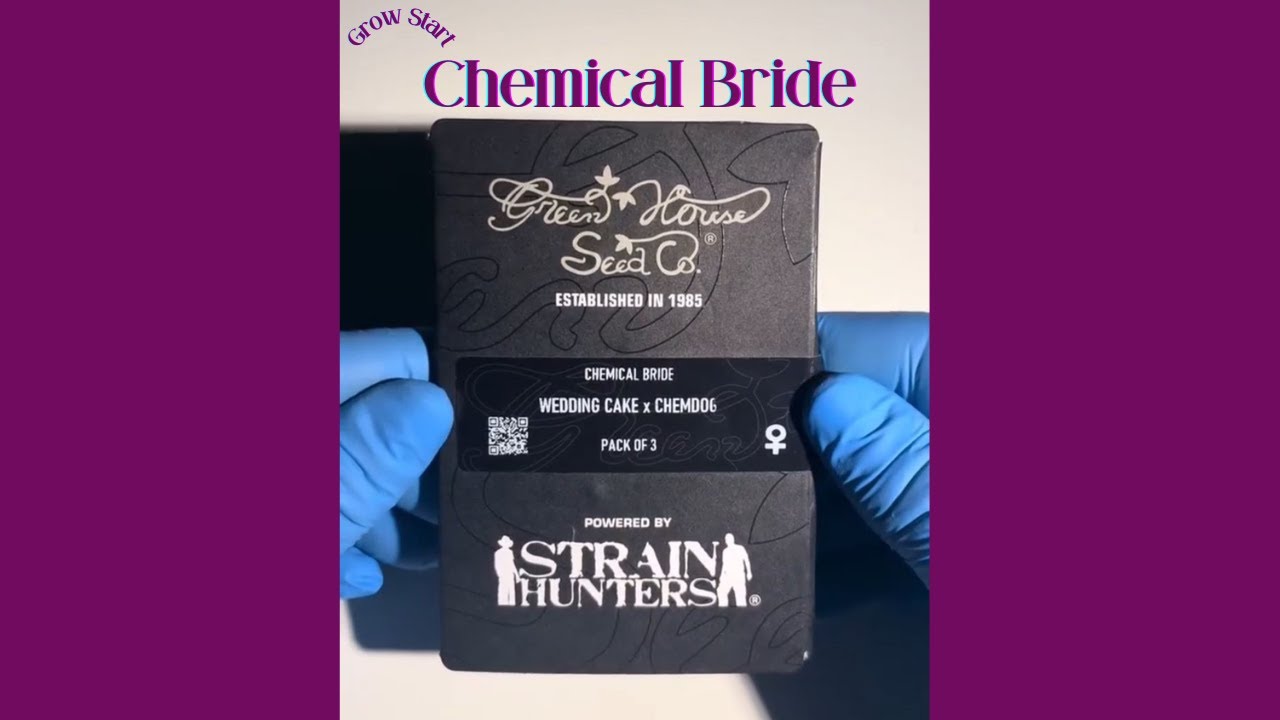 Grow Start - Chemical Bride by Green House Seed Co.