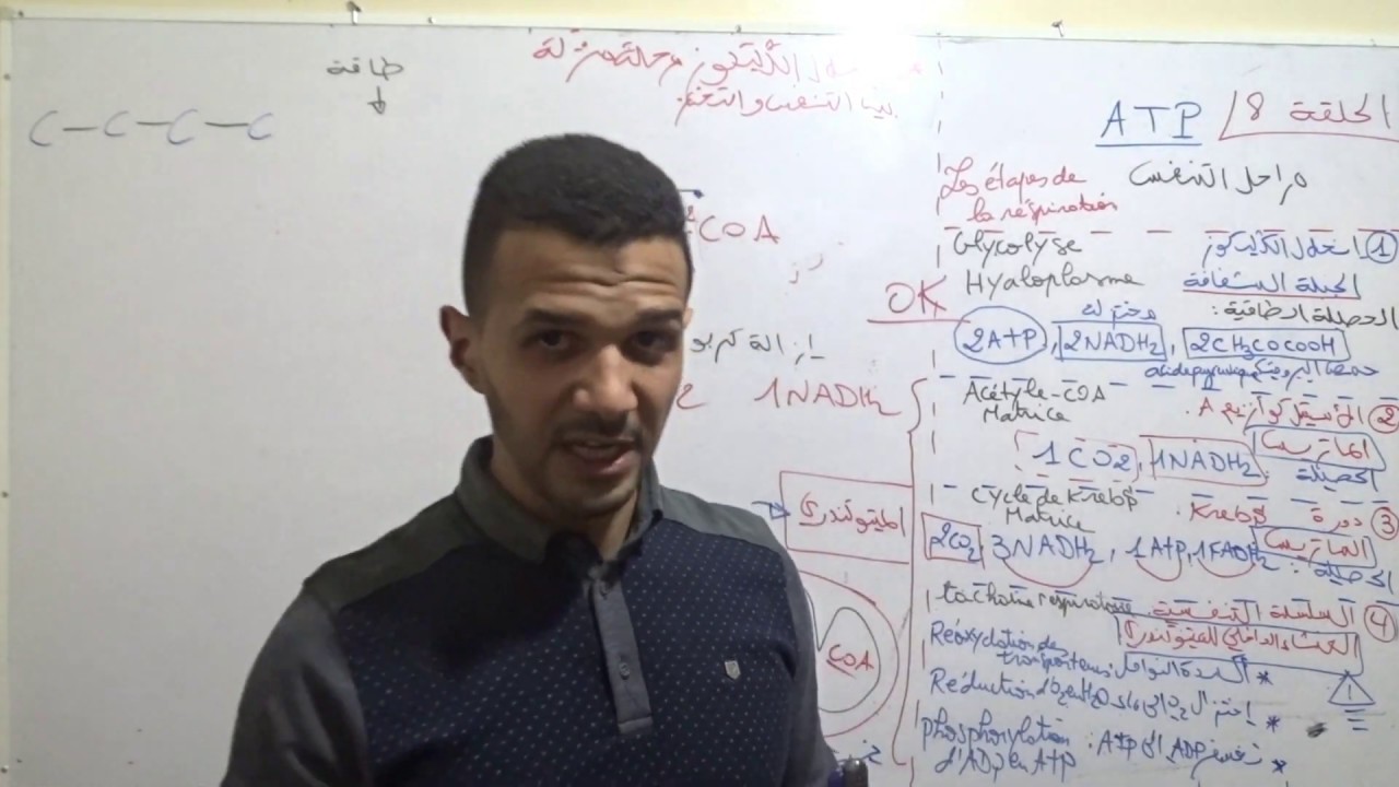 الحلقة 8 ATP