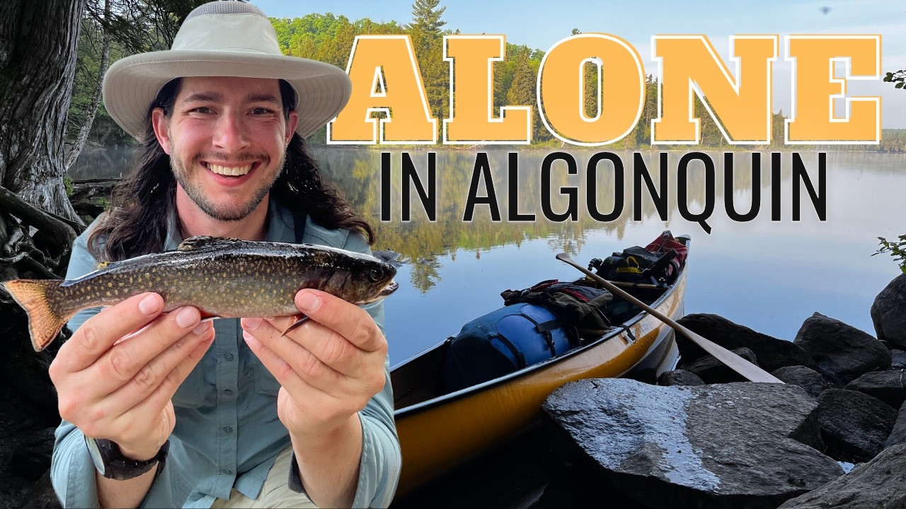 ALONE in Algonquin | 8-Day Wilderness Canoe Camping Adventure