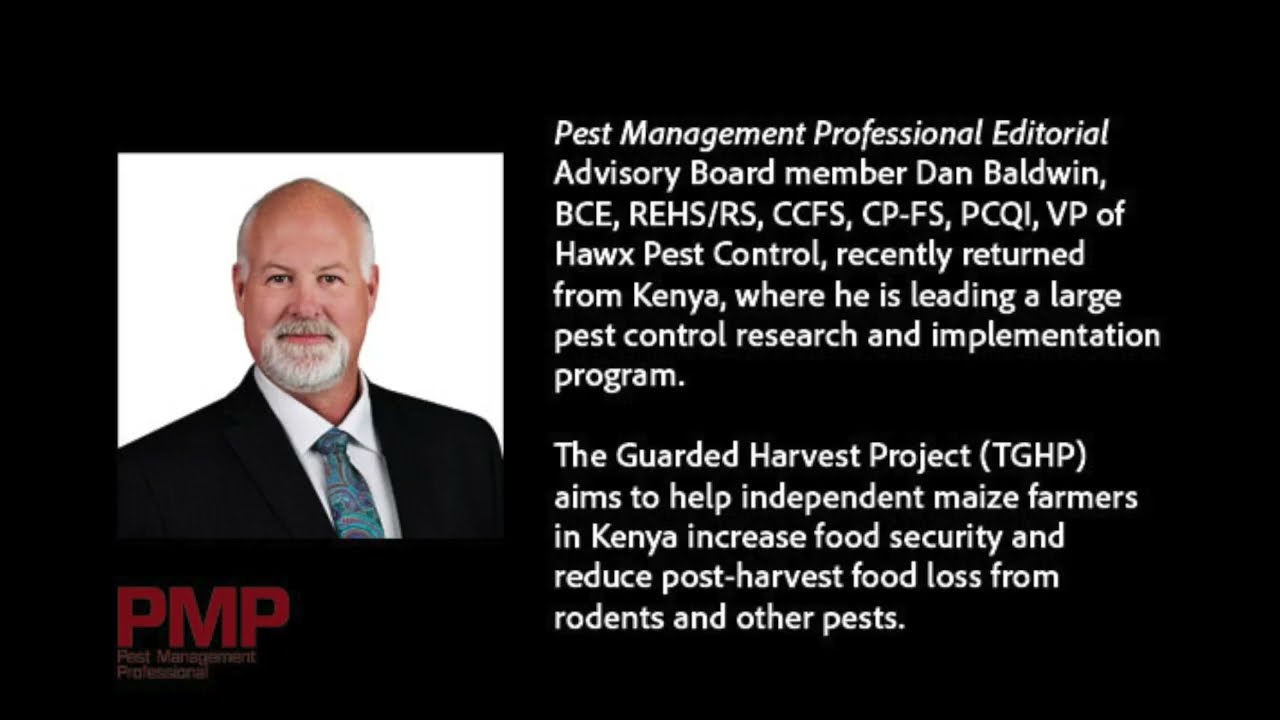 How The Guarded Harvest Project is aiding independent farmers in Kenya