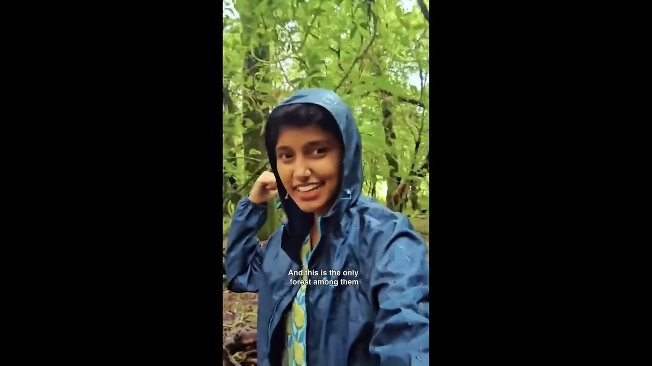 Secret Forest of India! 😮  | KK Create | #shorts